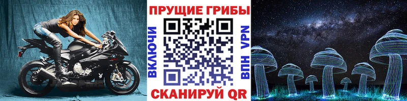 Псилоцибиновые грибы MAGIC MUSHROOMS  дарк нет Telegram  Полесск  наркотики 
